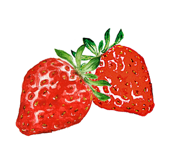 Erdbeeren