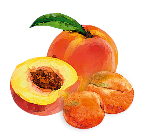 PfirsichAprikose